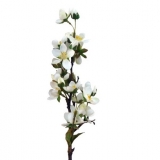 Kvitnúca vetvička čerešňa biela 50 cm