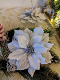 Vianočná ruža tyrkysová 14 cm