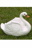Labuť