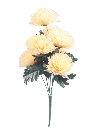 Chryzantémy do vázy marhuľová 60 cm