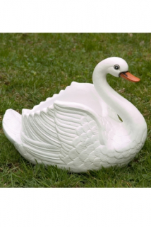 Labuť